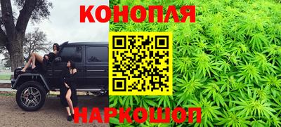 индика Кинель